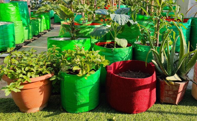 Maximizing Your Profit with Wholesale Plant Pots