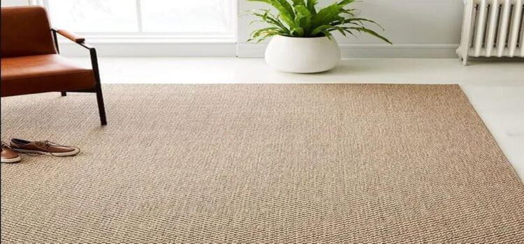 Improving Indoor Air Quality through Sisal Carpets