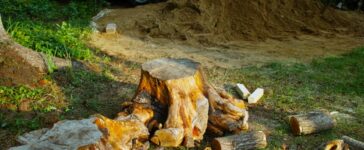 Tree Removal Services