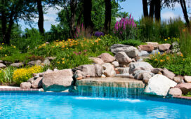 Wildlife Paradise