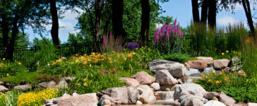 Wildlife Paradise