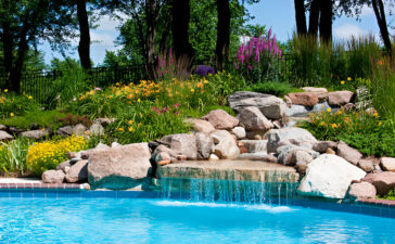Wildlife Paradise