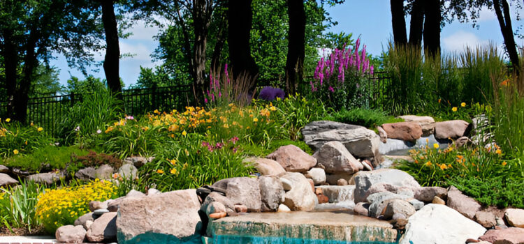 Wildlife Paradise