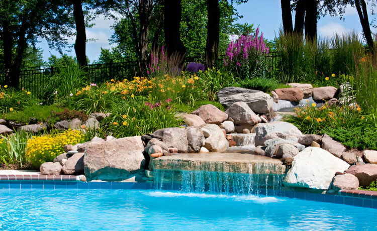 Wildlife Paradise